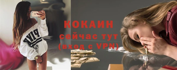 индика Армянск