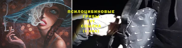 не бодяженный Зеленокумск