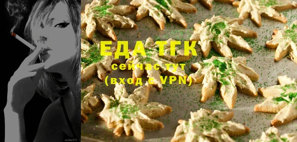 индика Армянск