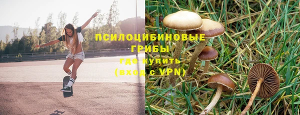 индика Армянск