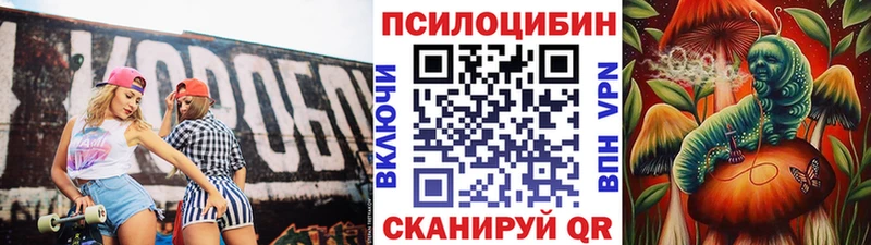 Псилоцибиновые грибы ЛСД  как найти   Богучар 